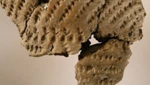 mi-archeologyceramics