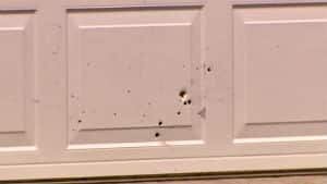 nl-bullet-hole-20130601