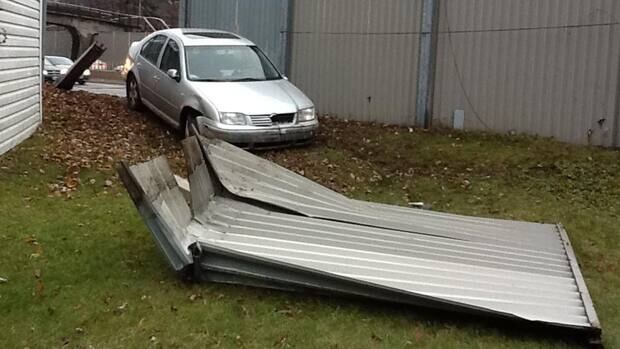 li-ott-carbackyard-620