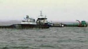 si-nb-fish-farm-aquaculture