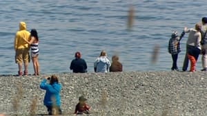 nl-capelin-crowd-20120625