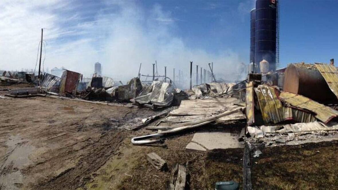 Massive dairy farm fire kills more than 100 cows Manitoba CBC News