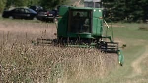 pe-hi-grain-harvest-4col