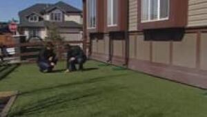 si-cgy-fakegrass