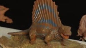 fossil-model_220x124_1