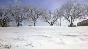 mi-snow-march-2013