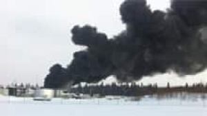 si-oil-plant2