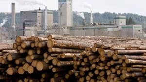 hi-bc-110717-lumber-852-cp-9556196-4col