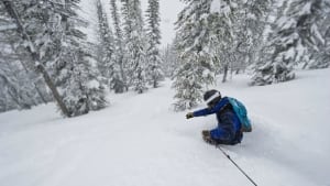 hi-backcountry-skier-8col