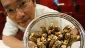 si-chinese-herbal-220-cp-rt