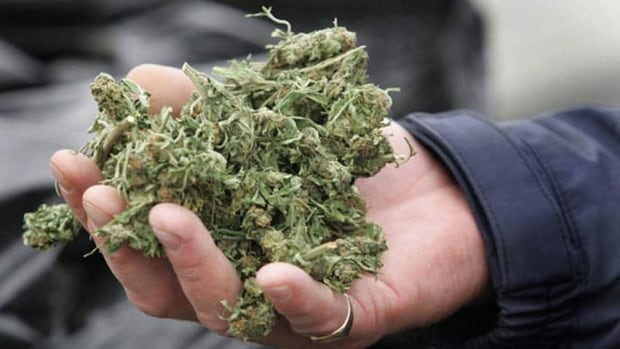 hi-bc-120426-marijuana