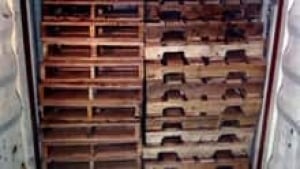 nb-cocaine-pallets-220
