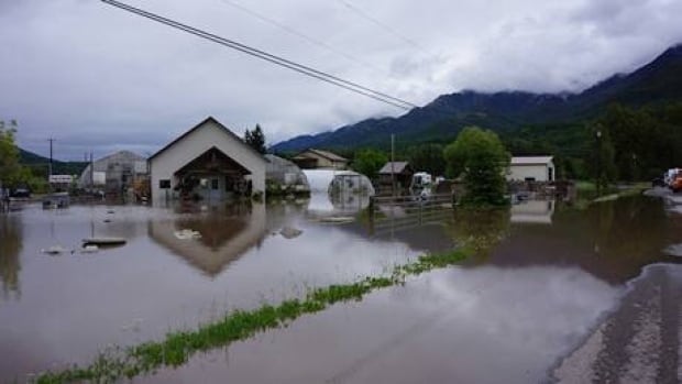fi-bc-130621-fernie-flooding-1