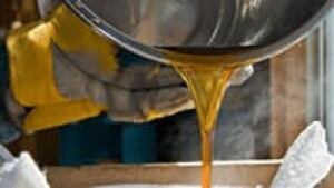 maple-syrup-istock