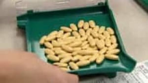ns-si-prescription-drugs-22