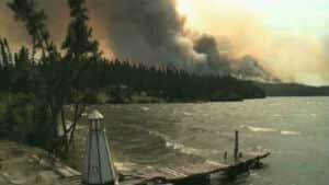 nl-smoke-labrador-20130701