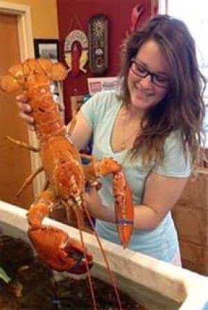 si-nb-orange-lobster-2-220