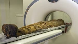 mi-mummy-ct-300-cp-04119329