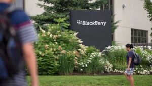 hi-blackberry-04702829