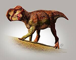 sm-300-unescopceratops-koppelhusae