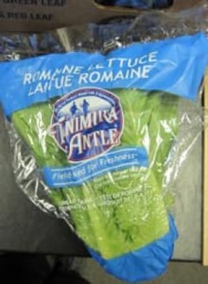 si-lettuce-recall1-220
