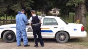si-calgary-bylaw-charges