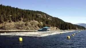 hi-bc-120525-mainstream-salmon-farm-3col