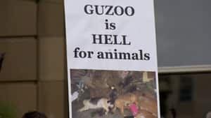 mi-guzoo-hell
