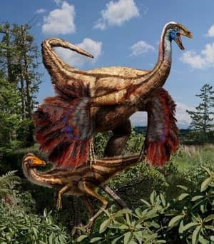 mi-dino-feathers-300