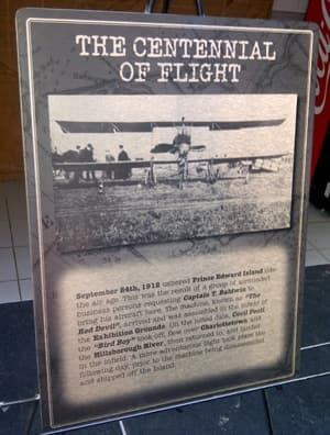 pe-si-100-flight-300