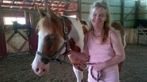 mi-ns-rocking-horse-ranch