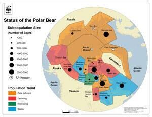 mi-wwf-pbear-status-dec2011