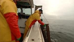 lobster-fishing-300