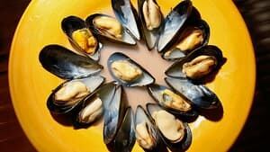 hi-mussels-852-cp-80372658-4col