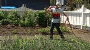 si-backyard-farm