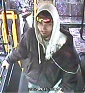 si-service-dog-suspect-wps