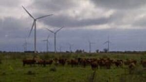 220-kingston-windmills