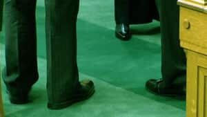 mi-green-carpet_1
