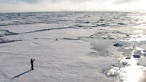 sm-250-arctic-sea-ice-rtr2qwlf