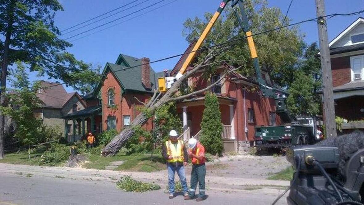 High winds cause extensive damage in Kitchener KitchenerWaterloo