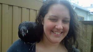 mi-andrea-stone-chickens