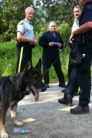 mi-bc-120718-landslide-searchdog
