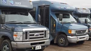 mi-hagi-buses-300