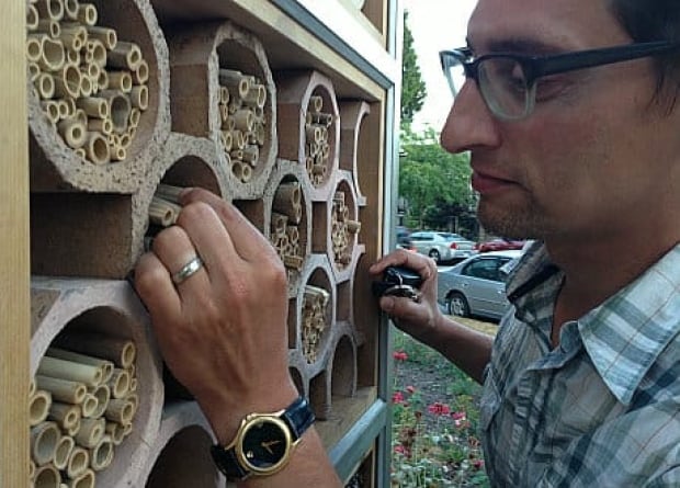 mi-bc-130808-insect-hotel-hartley-rosen