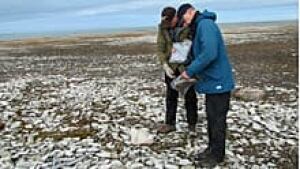 ii-archeologists-img_7415_b