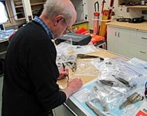 ii-lab-img_7430_bc