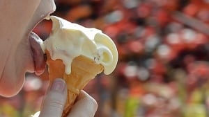 hi-ice-cream-sugar-852-cp-r