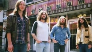 hi-sheepdogs-4col