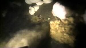 hi-bc-120716-raw-sewage-4col