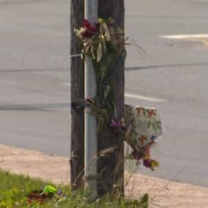 nl-flowers-pole-kenmount-road-20130823